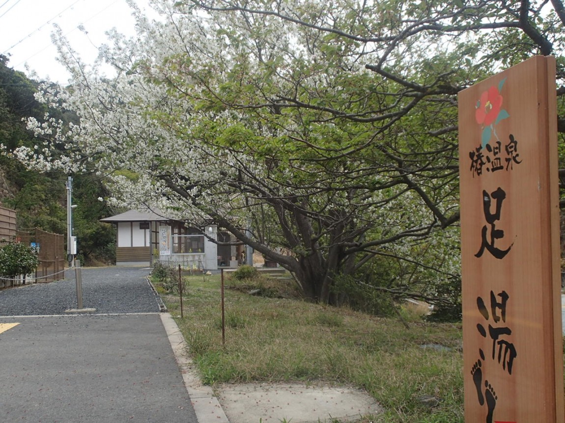 椿温泉足湯