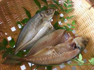 朝食の地アジの干物　