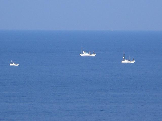 今朝の海
