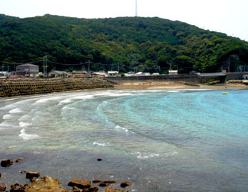 椿海水浴場　再開！！