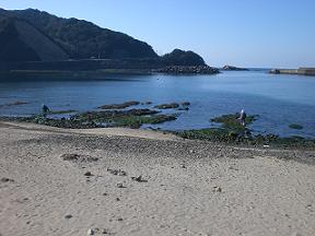 海岸