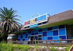 エビとカニの水族館